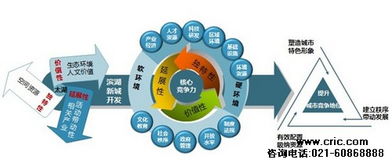 CRIC信息服務與中房咨詢 專業信息咨詢服務的雙璧