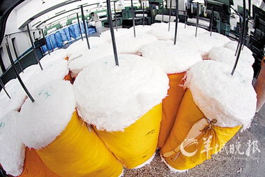 棉價(jià)日日高歌猛進(jìn) 紡織品交易遇寒冬