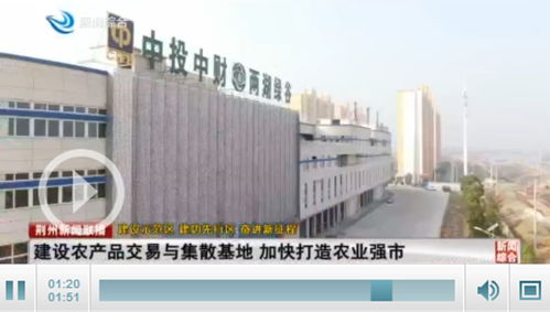 荊州 建設(shè)農(nóng)產(chǎn)品交易與集散基地 加快打造農(nóng)業(yè)強(qiáng)市