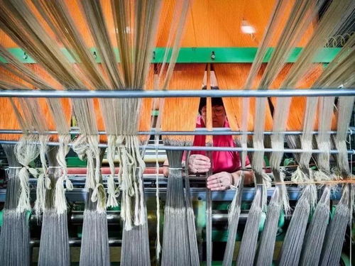 美國出口管制清單新增14類技術，特種紡織品貿易面臨新挑戰